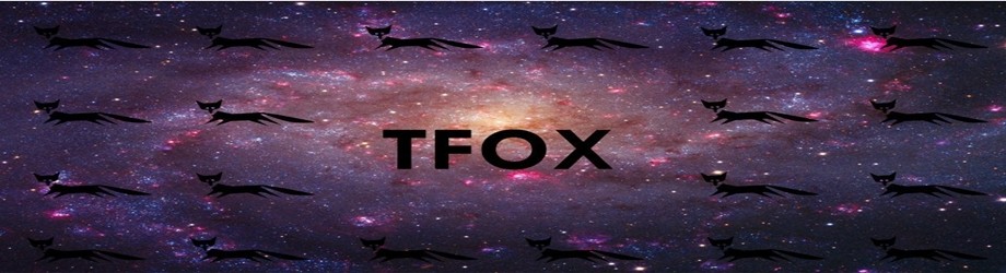 Loja de Tfox
